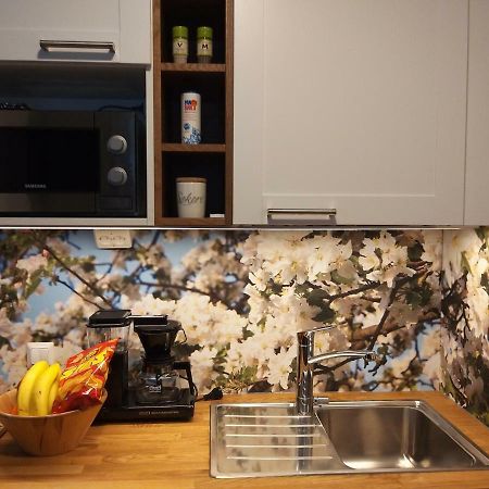 Studiohuoneisto Lohjan Keskusta 2 エクステリア 写真