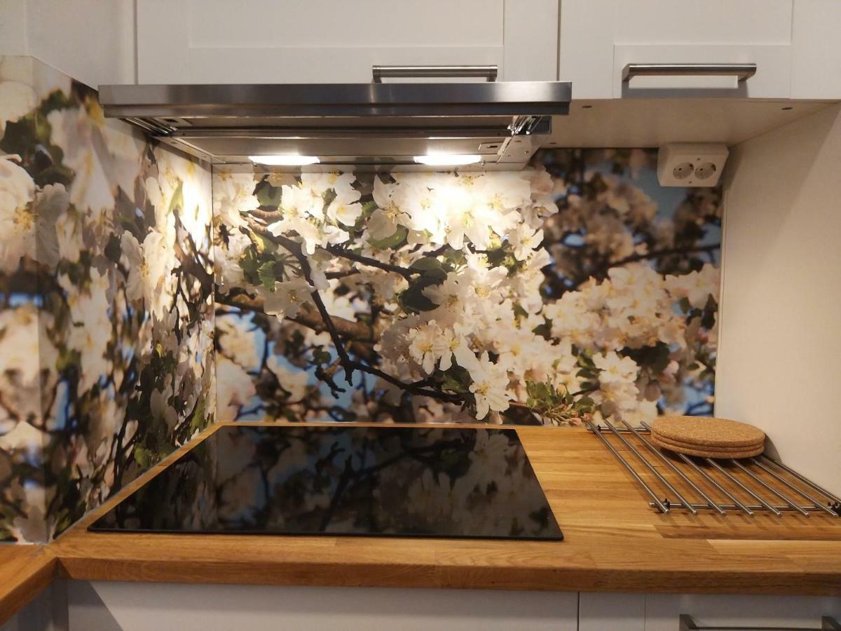 Studiohuoneisto Lohjan Keskusta 2 エクステリア 写真
