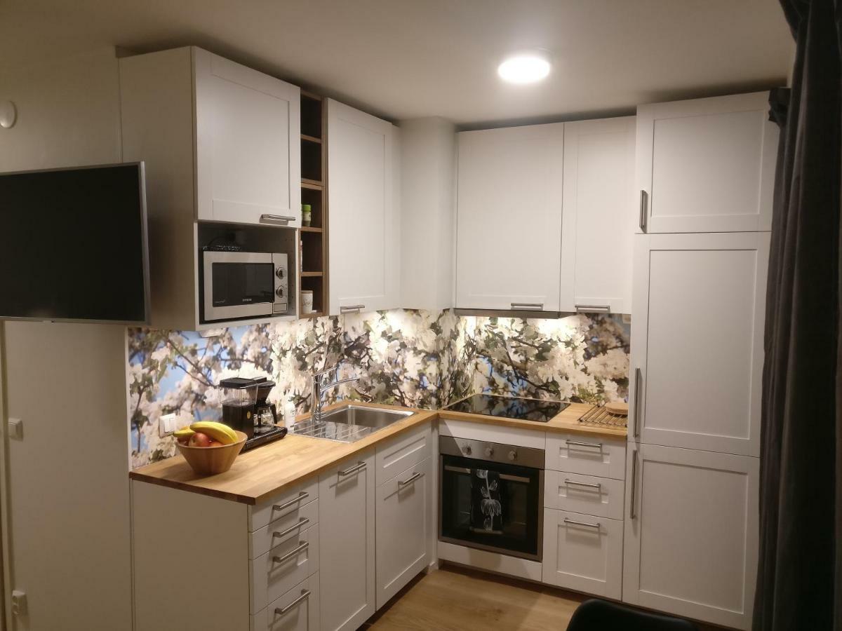 Studiohuoneisto Lohjan Keskusta 2 エクステリア 写真