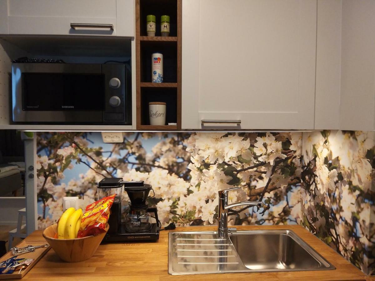 Studiohuoneisto Lohjan Keskusta 2 エクステリア 写真